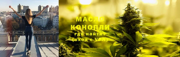 тгк Каменка