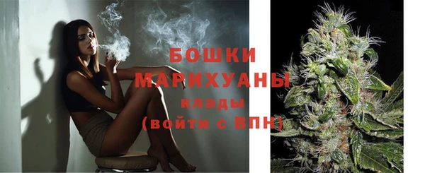 тгк Каменка