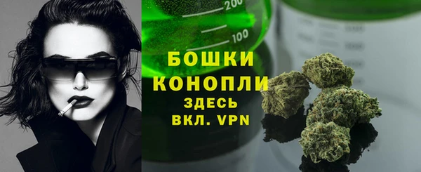 тгк Каменка