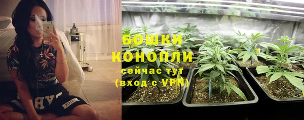 спайс Каменногорск