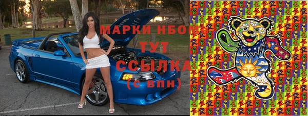 тгк Каменка
