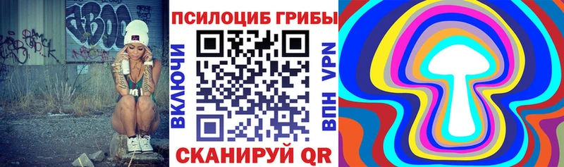 Купить где  Кольчугино  Псилоцибиновые грибы мухоморы 