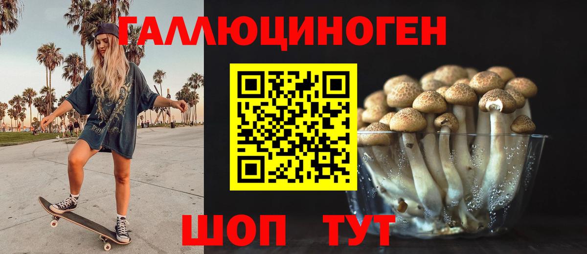 Кольчугино  Галлюциногенные грибы GOLDEN TEACHER  Вход с VPN 