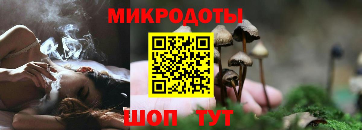 Псилоцибиновые грибы Cubensis Кольчугино