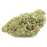 Шишки OG Kush  (Гидропоника, бошки) VHQ в Кольчугино